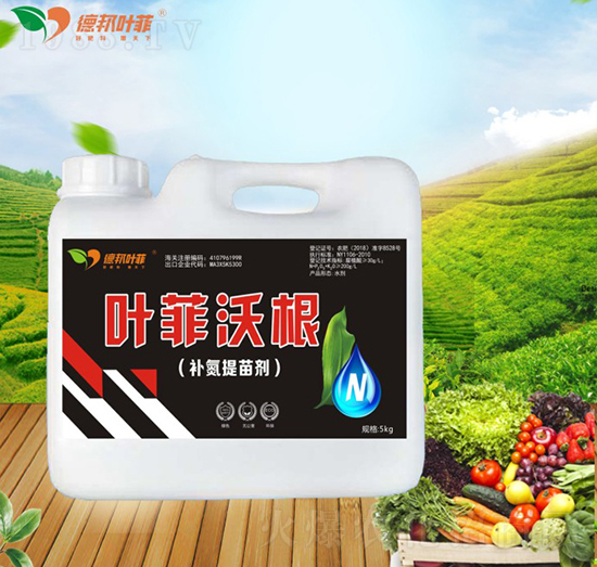 �a�����焩-�~���ָ�-�°��~��