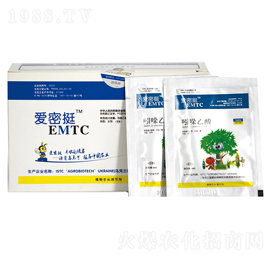 ����ͦ-������