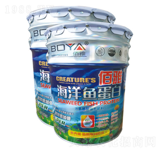 �����~����-ʥ�ɶ�