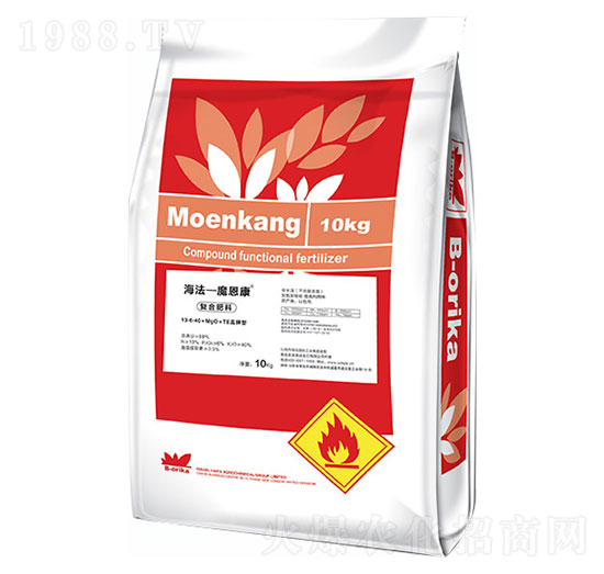 ����͏�(f��)�Ϸ���-������ħ����-ʥ�ɶ�