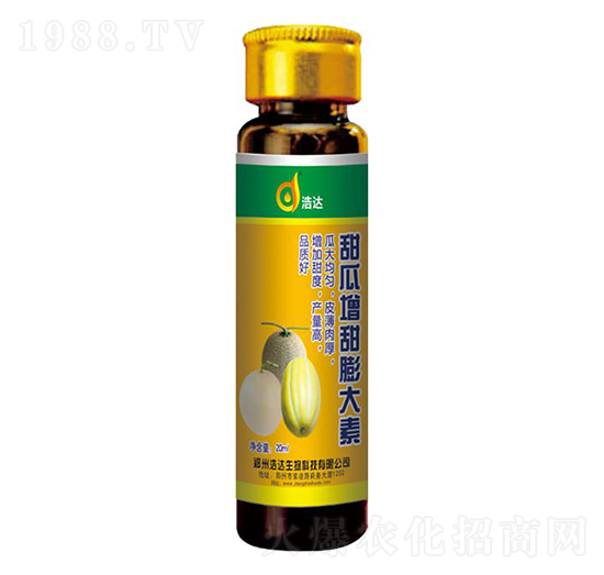 ������������-���_����