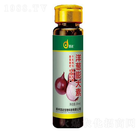 ���[�����-���_����