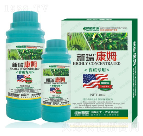 �㽶�����~���-����