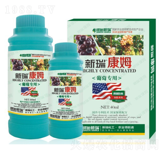 ���ь����~���-����