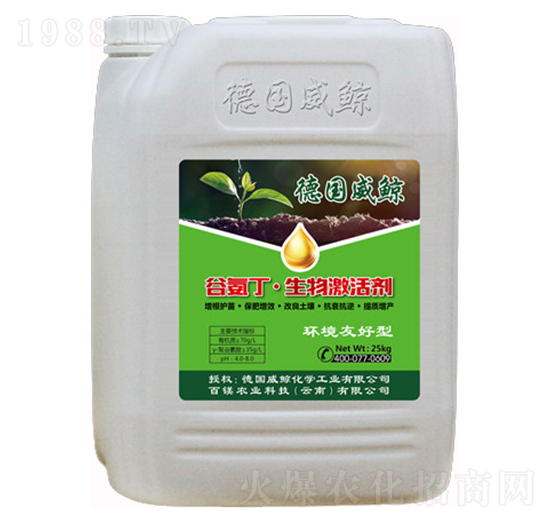 �Ȱ������Ｄ�-�����L-���V