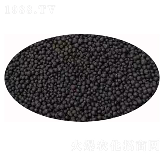 ���{��������-�l(f��)ؔ(c��i)��