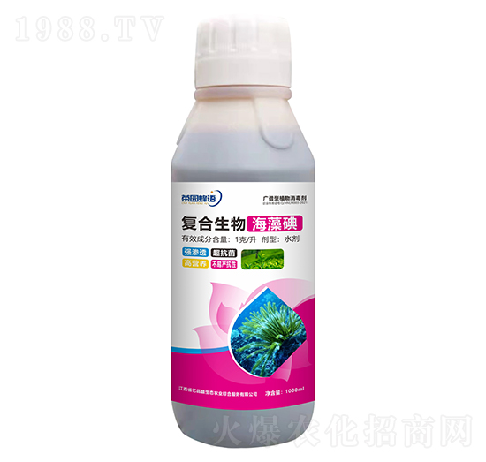 �V�V��ֲ��������-��(f��)�����ﺣ���-��������