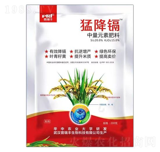 ����Ԫ�ط���-�ͽ��k-�����S