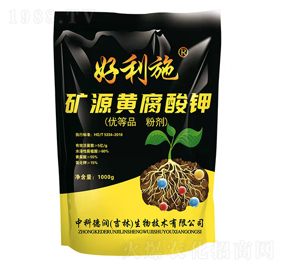 �VԴ�S�����-���ʘI(y��)