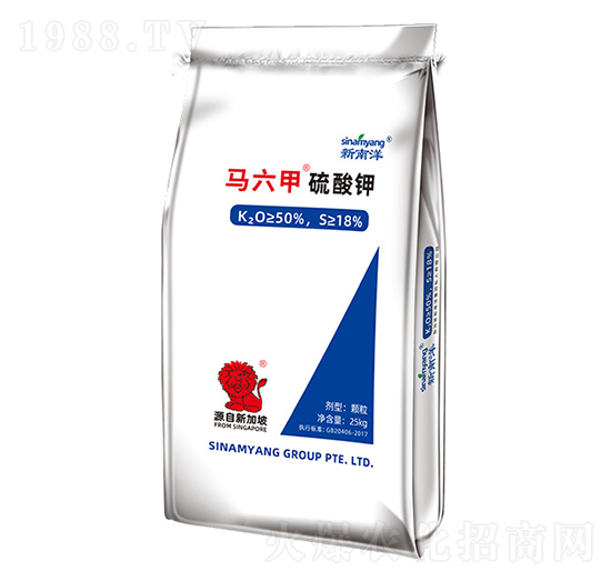 �R���������-Сħ��