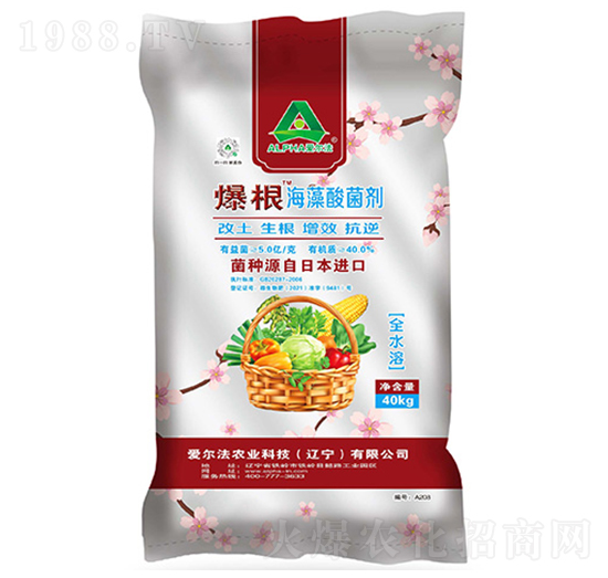 �������������-�۠���