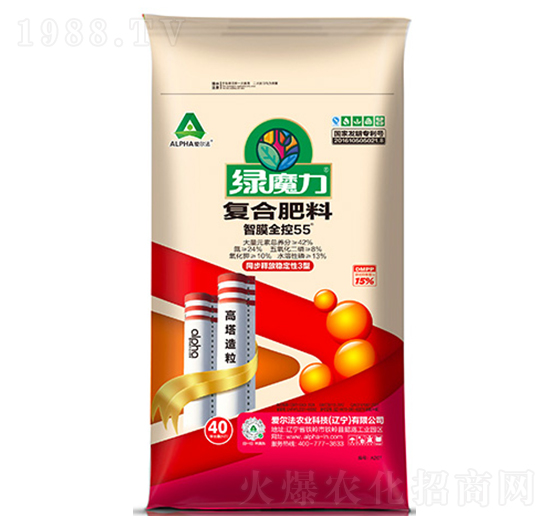 ��Ĥ�p��55��(f��)�Ϸ���24-8-10-�Għ��-�۠���