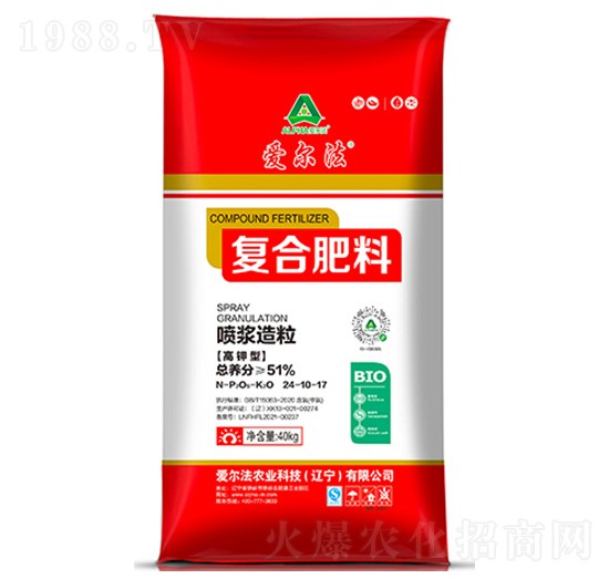 ���{�����ͺϷ���24-10-17-�۠���