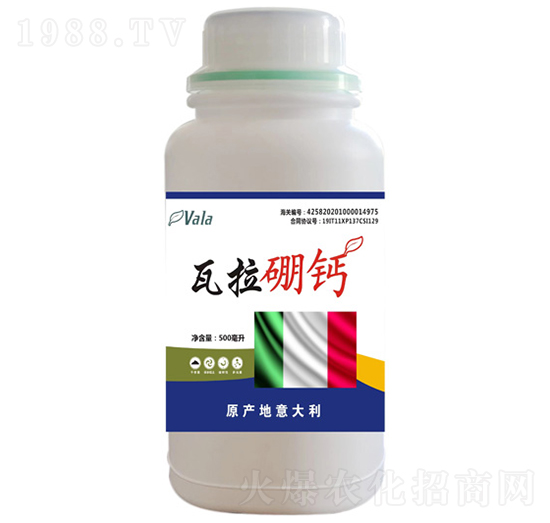 �������}-�۠���