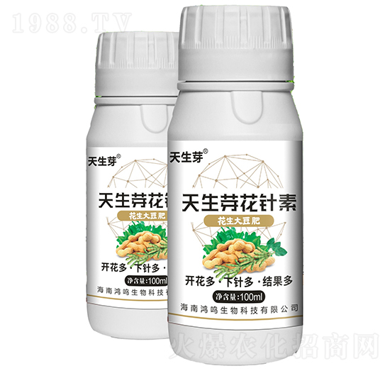 ����ѿ�����-���Q