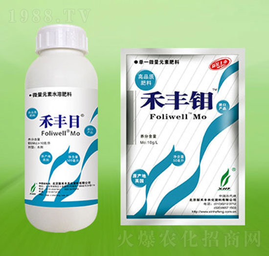 ���SĿ-�º��S