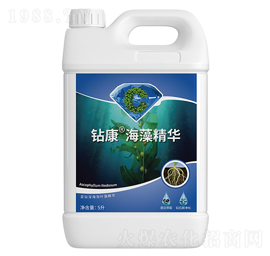 �@�����徫�A-�����ط�