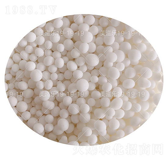 ��(w��n)���ԏ�(f��)�Ϸ���19-19-19+TE���w����-���̘�-���컯�r(n��ng)�Y