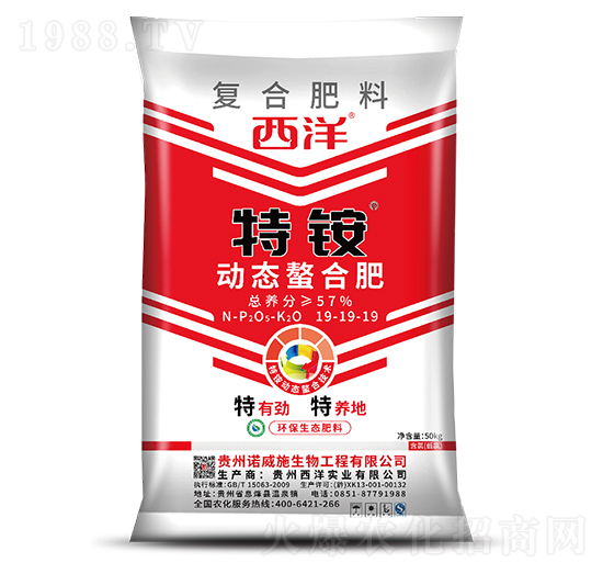 �ӑB(t��i)���Ϗ�(f��)�Ϸ���19-19-19-���@-�Z��ʩ����