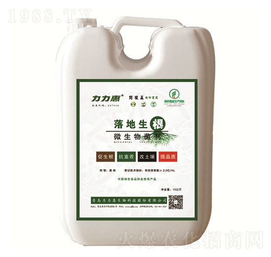 ΢�������-�������-����������