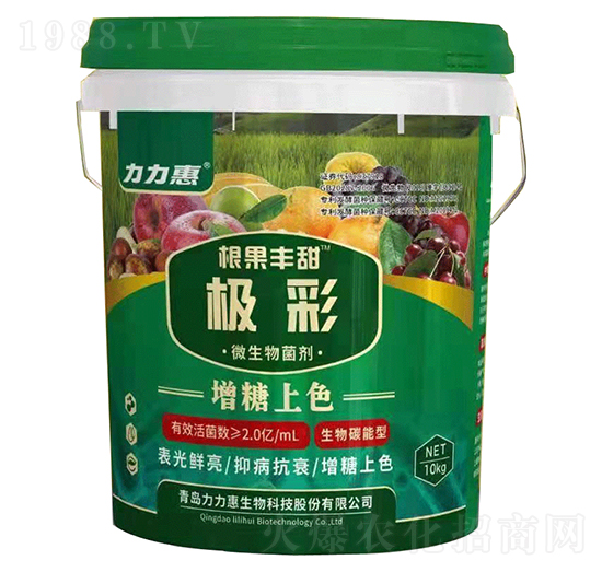 �O��΢�������-�����S��-����������