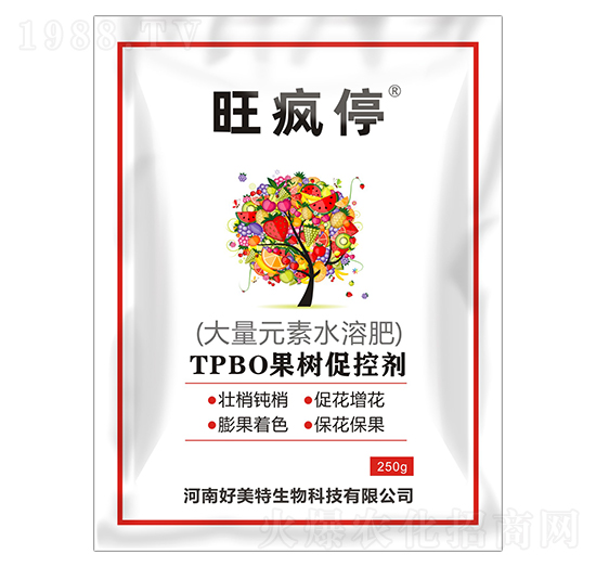 250gTPBO����ٿ؄�-����ͣ-������