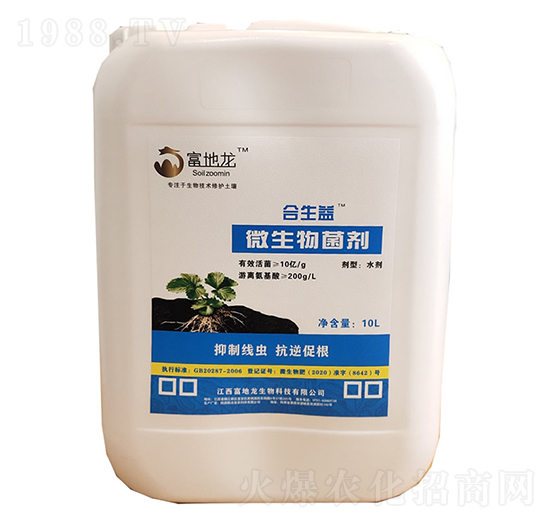 ������΢�������-������