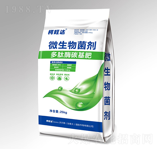 ����ø̼����-�����_-�֠����r�I(y��)