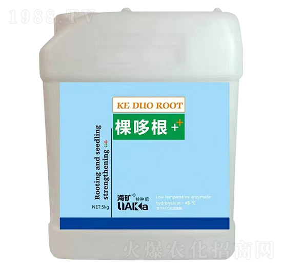 �ö߸�+-���V-�����R