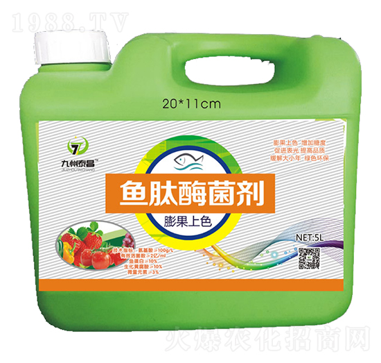 �~(y��)��ø�����������ɫ��-��̩����