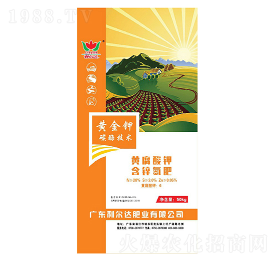 �S����⛺��\����-�S���-�����_(d��)�ʘI(y��)