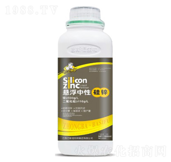 �Ҹ����Թ��\-��˹��