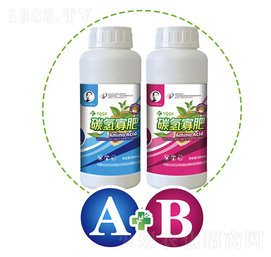 ̼��ѷ�A+B�M���~����ײ�-���o�n