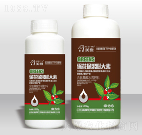 �������������-嫰�����