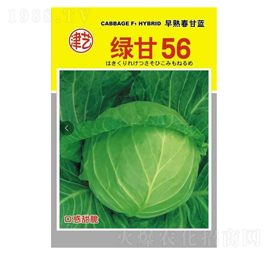 ���{�N��-�G��56-���S�r�I(y��)