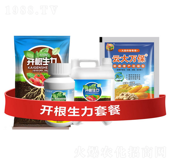 �_�������ײ�A-�ƴ�Ƽ�