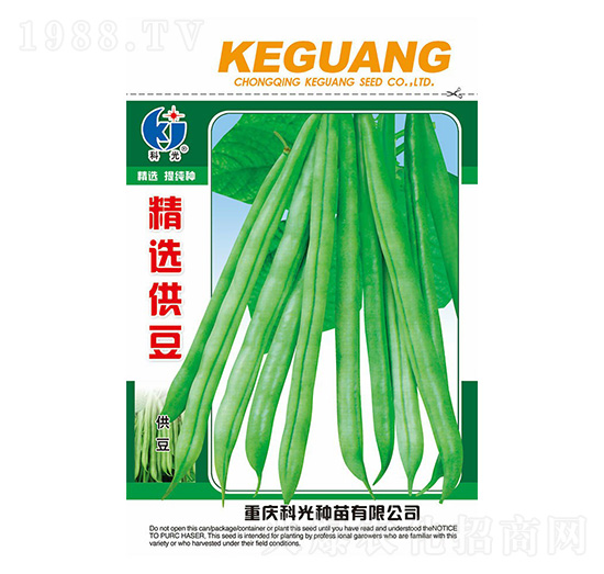 ���x����-�ƹ�N��