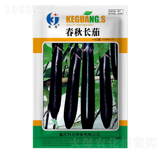 �����L(zh��ng)��-�ƹ�N��