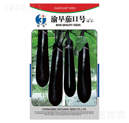 ������11̖(h��o)-�ƹ�N��