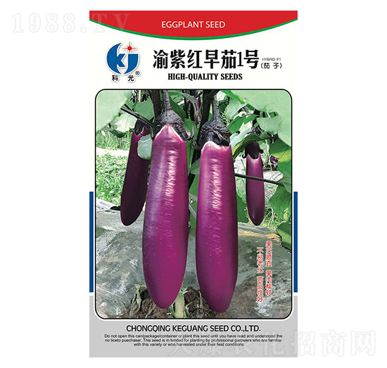 ���ϼt����1̖-�ƹ�N��