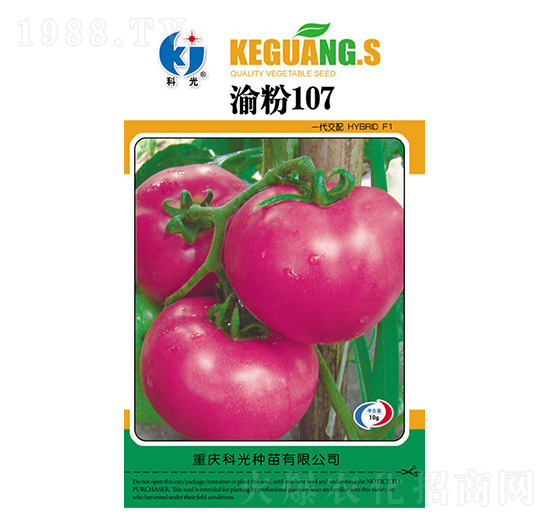 ���107-�ƹ�N��