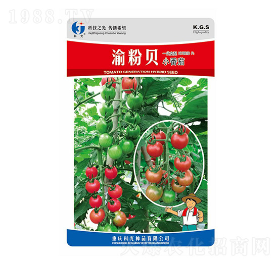 ���ؐ-�ƹ�N��