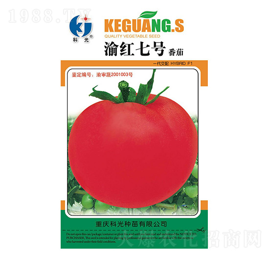 ��t7̖-�ƹ�N��