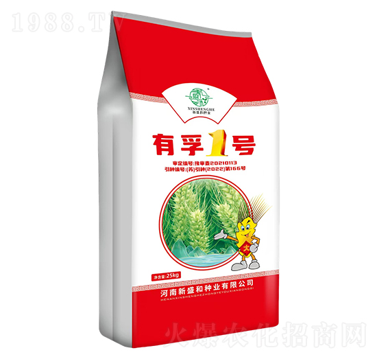 ����1̖-С���N��-�t̫�