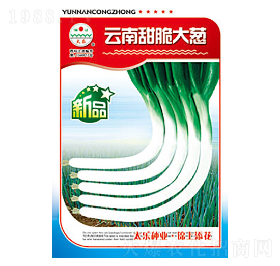 ���[�N��-���������[-̫���N�I(y��)