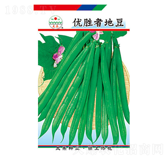 �����N��-��(y��u)���ߵض�-̫���N�I(y��)