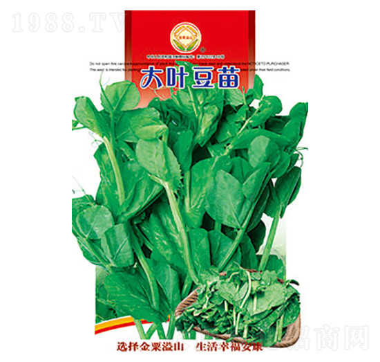 ���~����-̫��(l��)�N�I(y��)