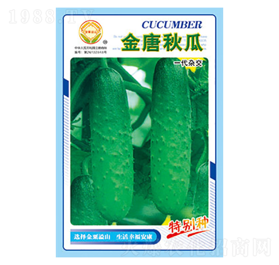 �S�ϷN��-�������-̫��(l��)�N�I(y��)