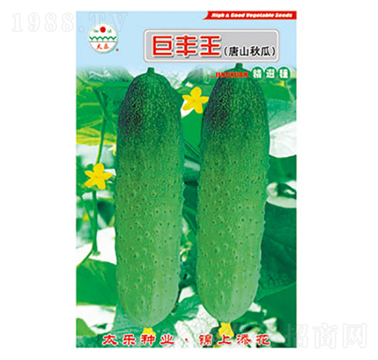 �S�ϷN��-���S��-̫���N�I(y��)