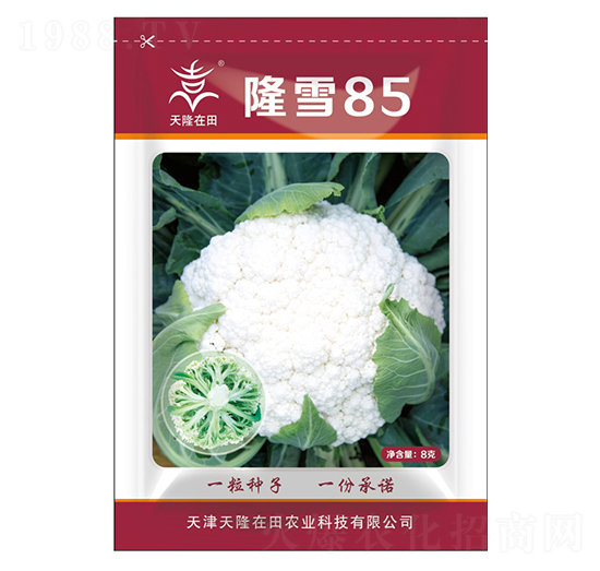 ¡ѩ85-��¡����-��¡�r�I(y��)